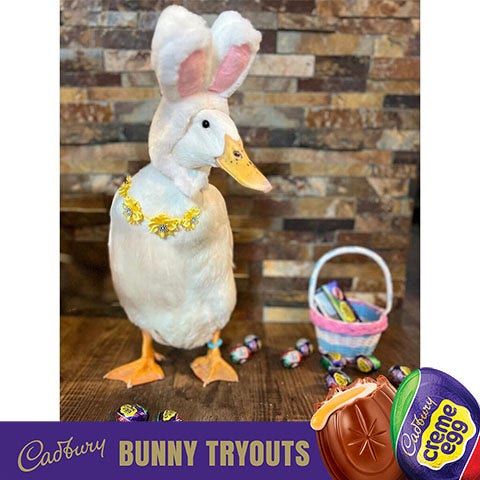 2023 cadbury bunny finalist ping the duck