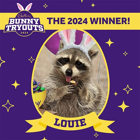 2024 cadbury bunny winner louie the racoon