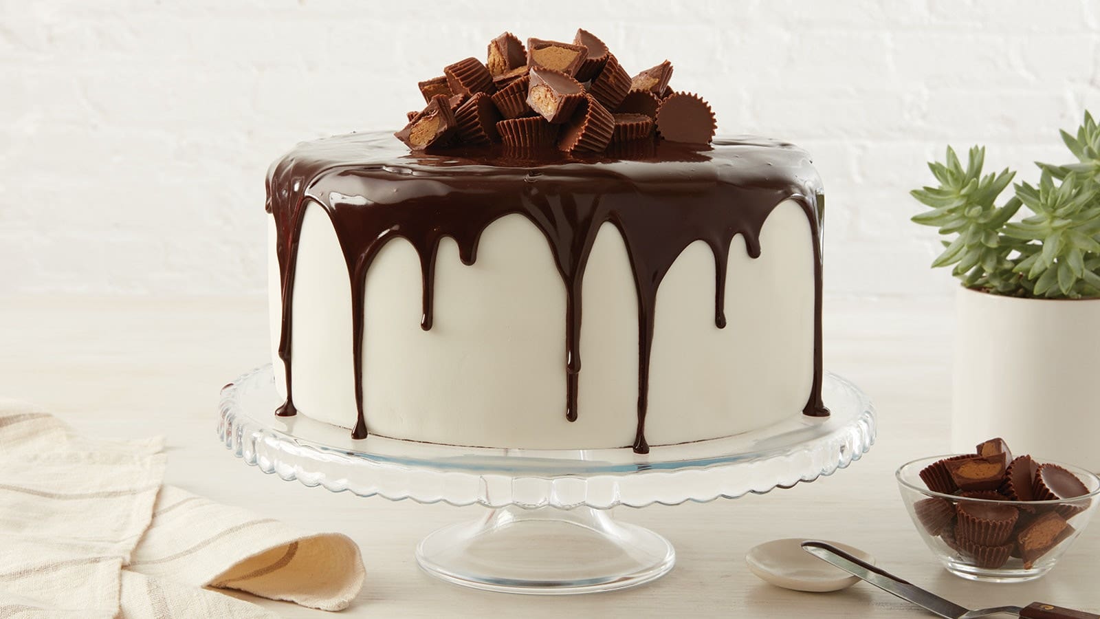 4 Extra-Special Birthday Cakes | Hersheyland