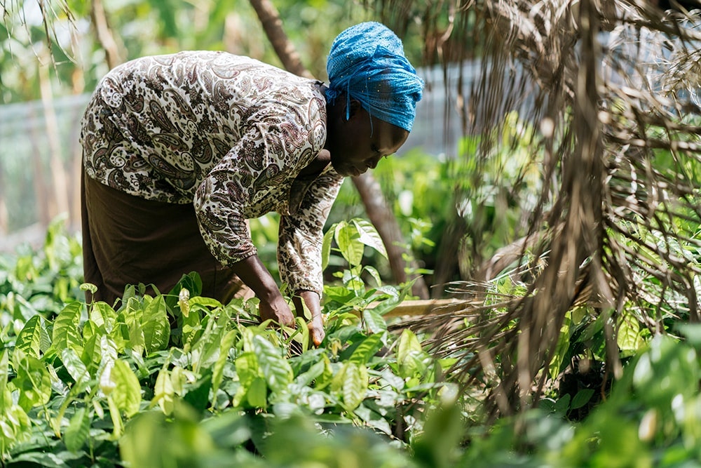 What Does Sustainability Mean to Hershey?