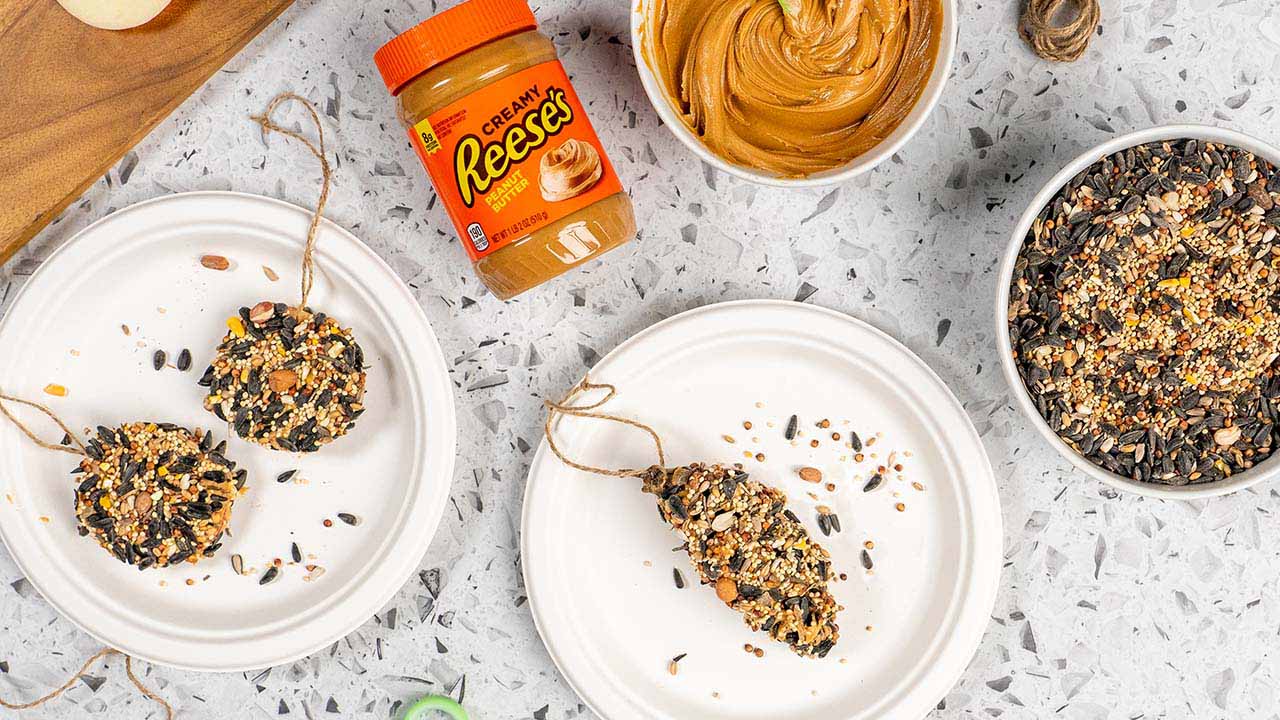 rolling the peanut butter coated pinecone and apple in birdseed