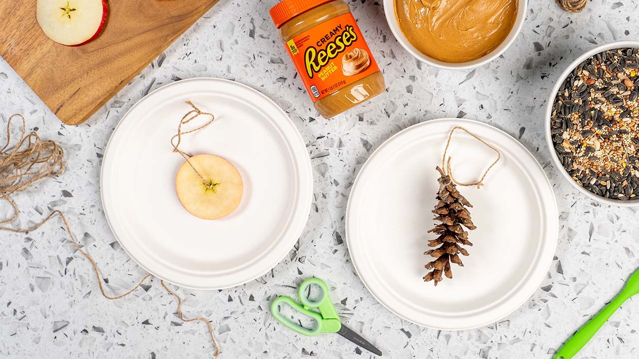 tying string to a pinecone and apple core