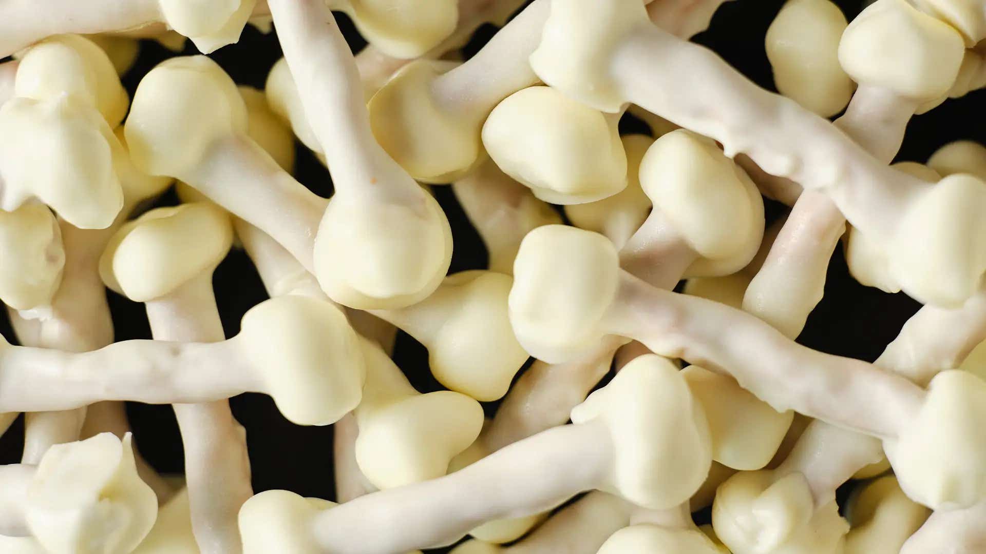 close-up of pretzel and marshmallow bones
