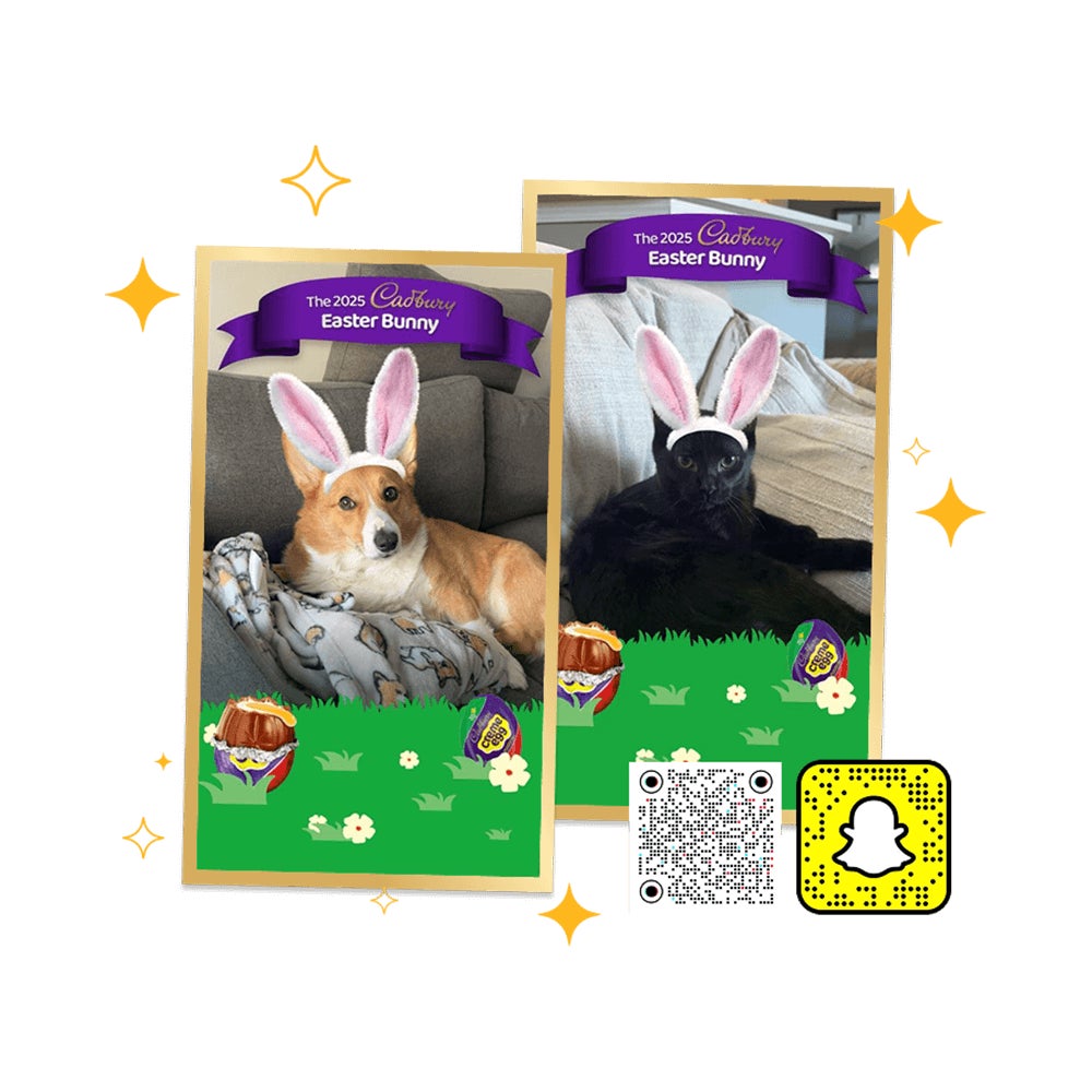 corgie and black cat with the cadbury bunny ears 