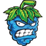 Angry blue raspberry character with green leaves and clenched teeth