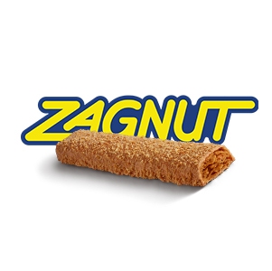 zagnut logo