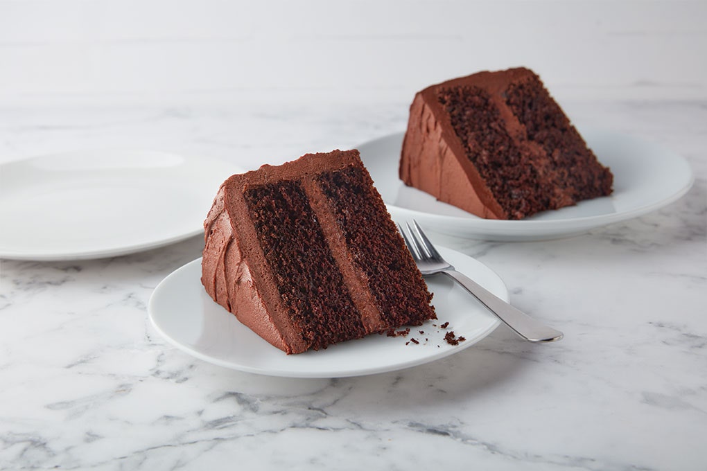 Chocolate Depression Cake (egg-free, dairy-free) - Budget Bytes