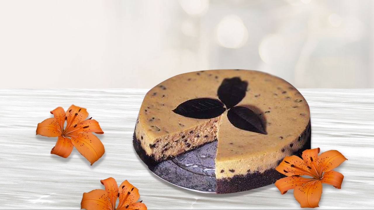 Chocolate Chip Pumpkin Cheesecake