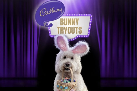 2022 Cadbury Bunny Tryouts Winner