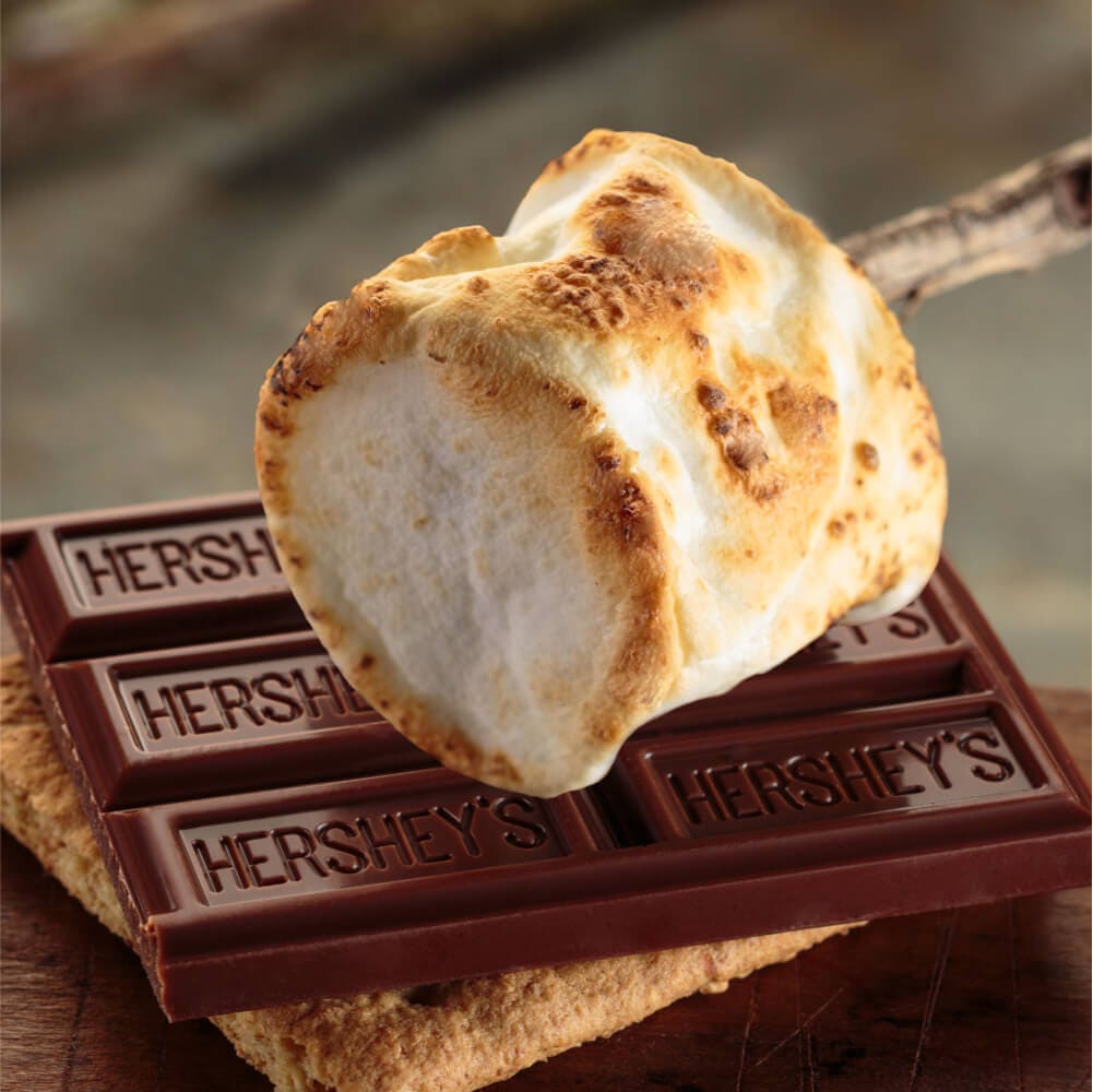 smore with toasted marshmallow